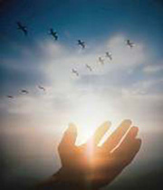 240158169133113149082531071752271461611246